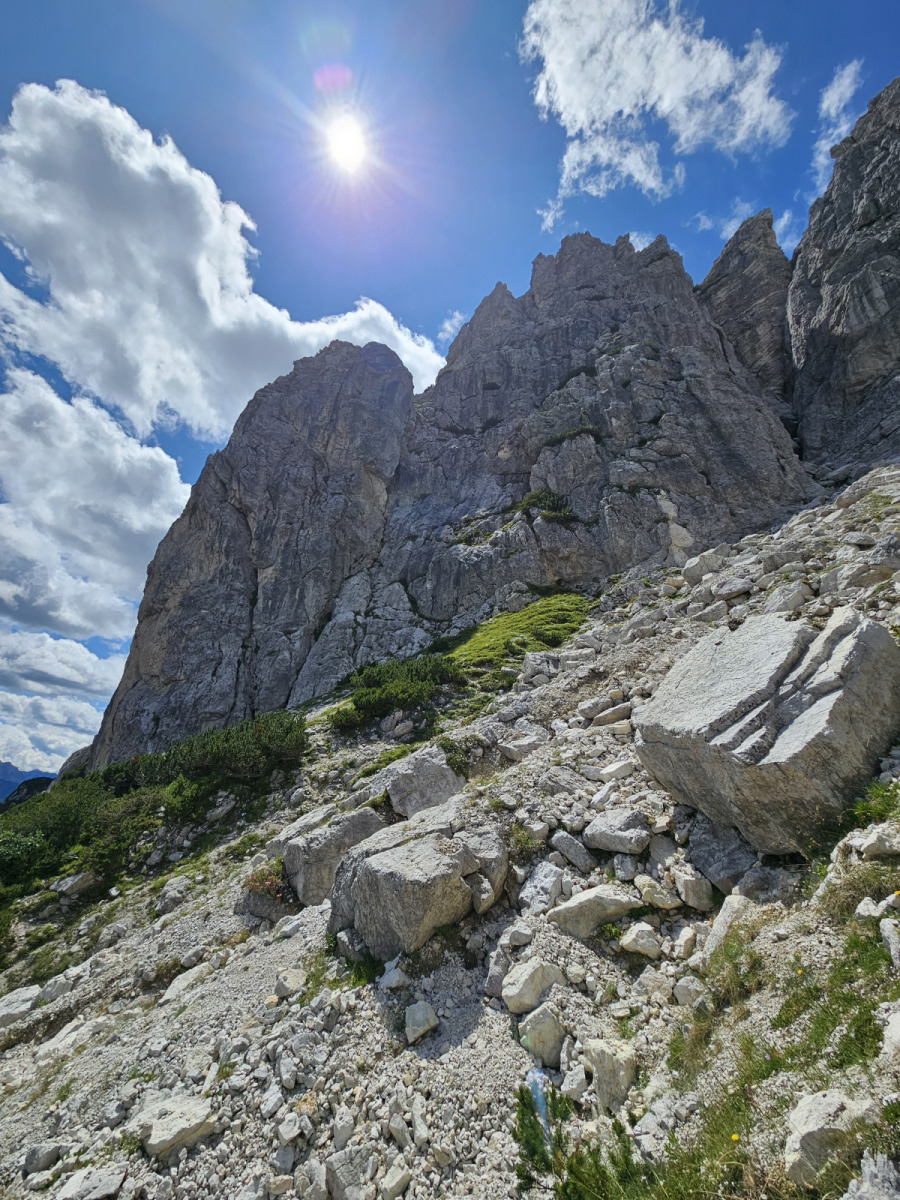1000015541